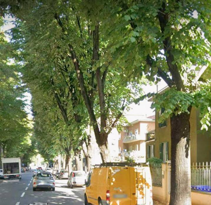 appartamento in affitto a Parma in zona Cittadella