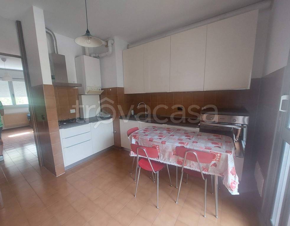 appartamento in affitto a Parma in zona Cittadella