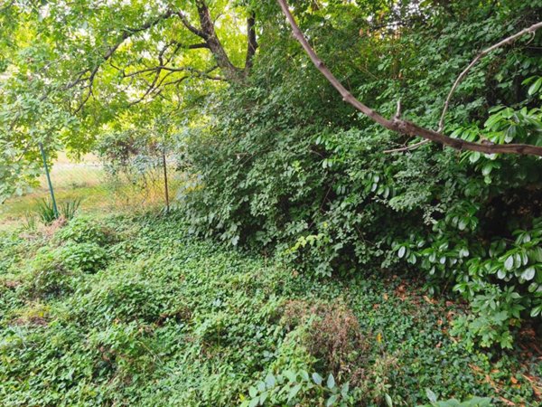 appartamento in affitto a Parma in zona Oltretorrente
