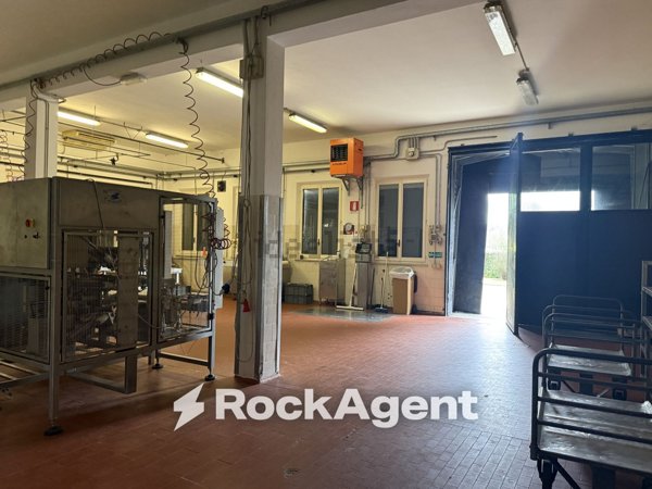 capannone in affitto a Sala Baganza