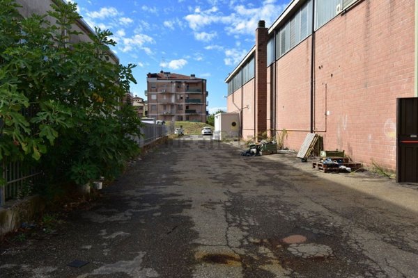 casa semindipendente in affitto a Torrile in zona San Polo