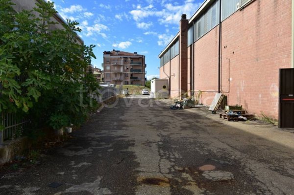 appartamento in affitto a Torrile in zona San Polo