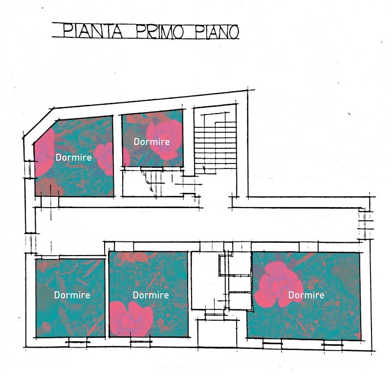 casa indipendente in affitto a Varsi in zona Contile