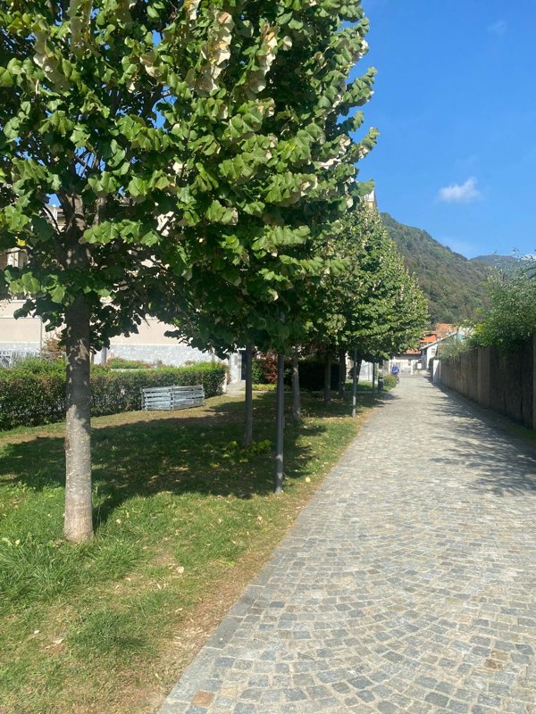 appartamento in affitto a Varallo