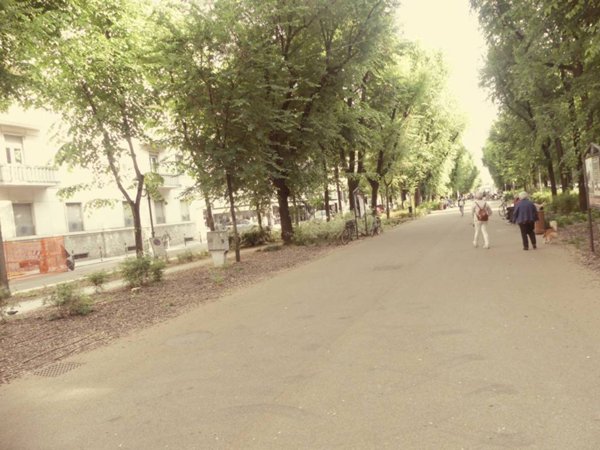 negozio in affitto a Vercelli in zona Centro Città