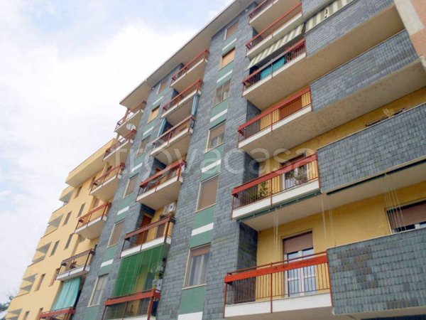 appartamento in affitto a Vercelli