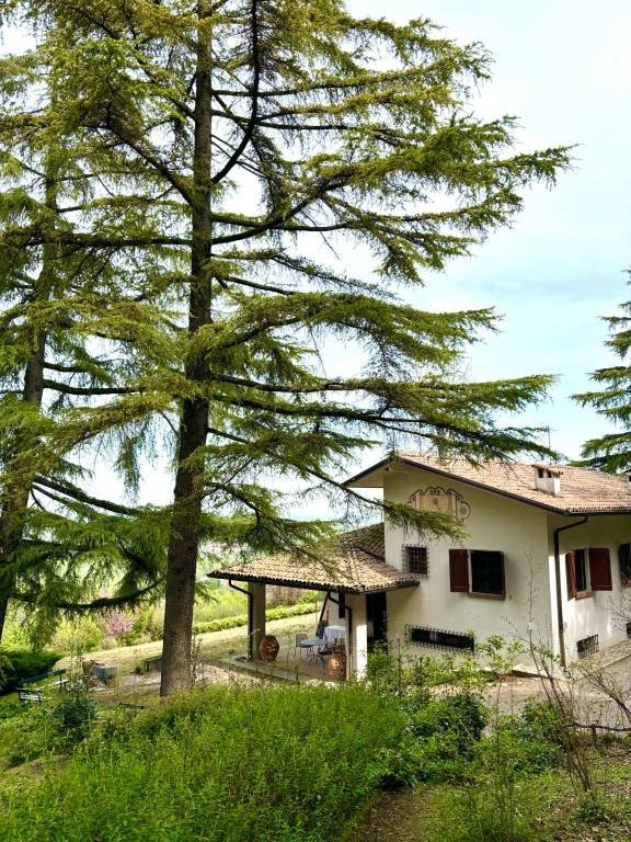 casa indipendente in affitto ad Albinea