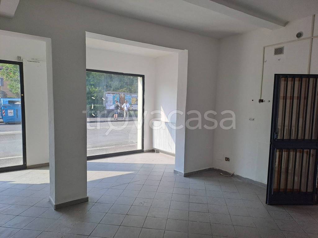 negozio in affitto a Boretto