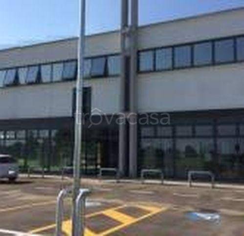 negozio in affitto a Casalgrande