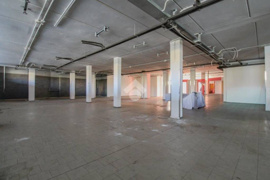 negozio in affitto a Casalgrande