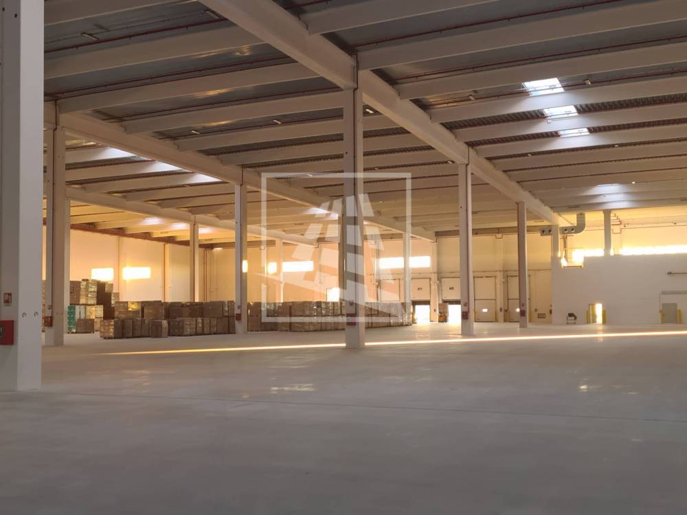 capannone in affitto a Correggio