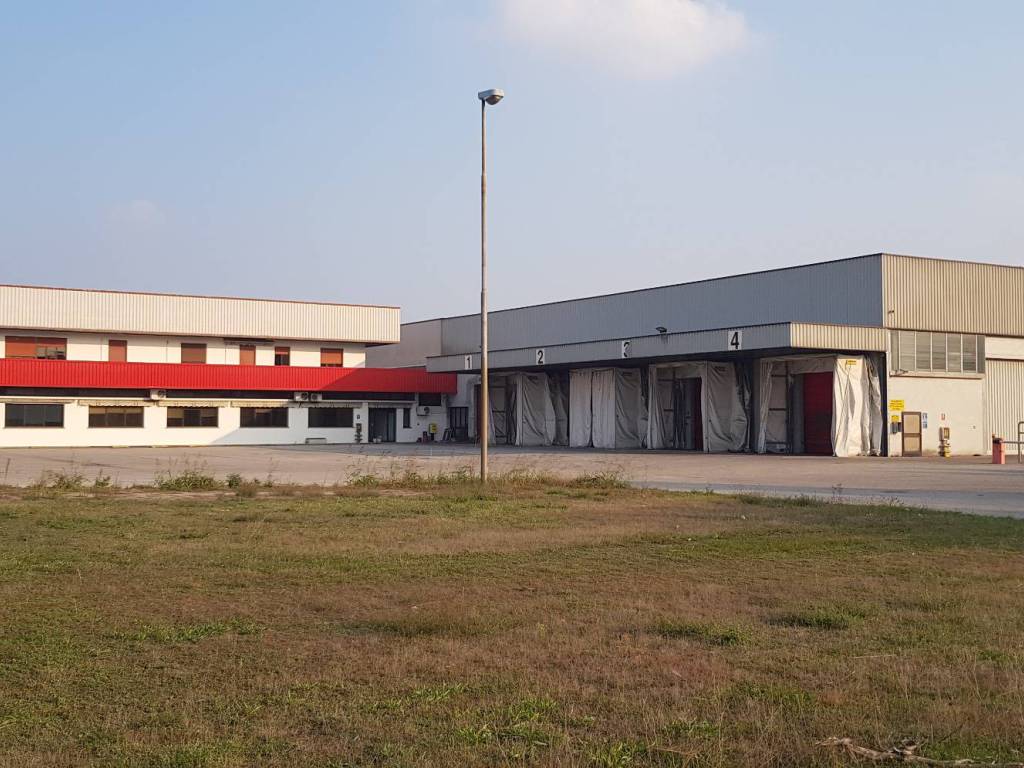 locale commerciale in affitto a Gualtieri