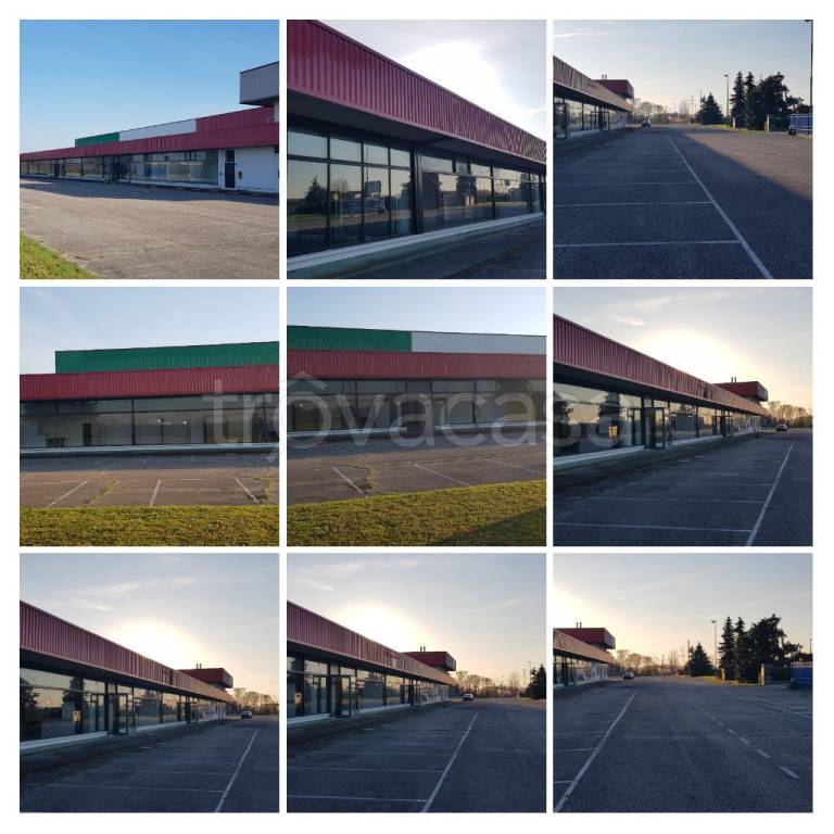 negozio in affitto a Gualtieri