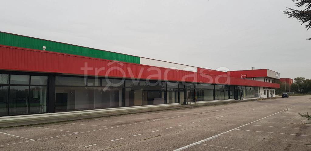 negozio in affitto a Gualtieri