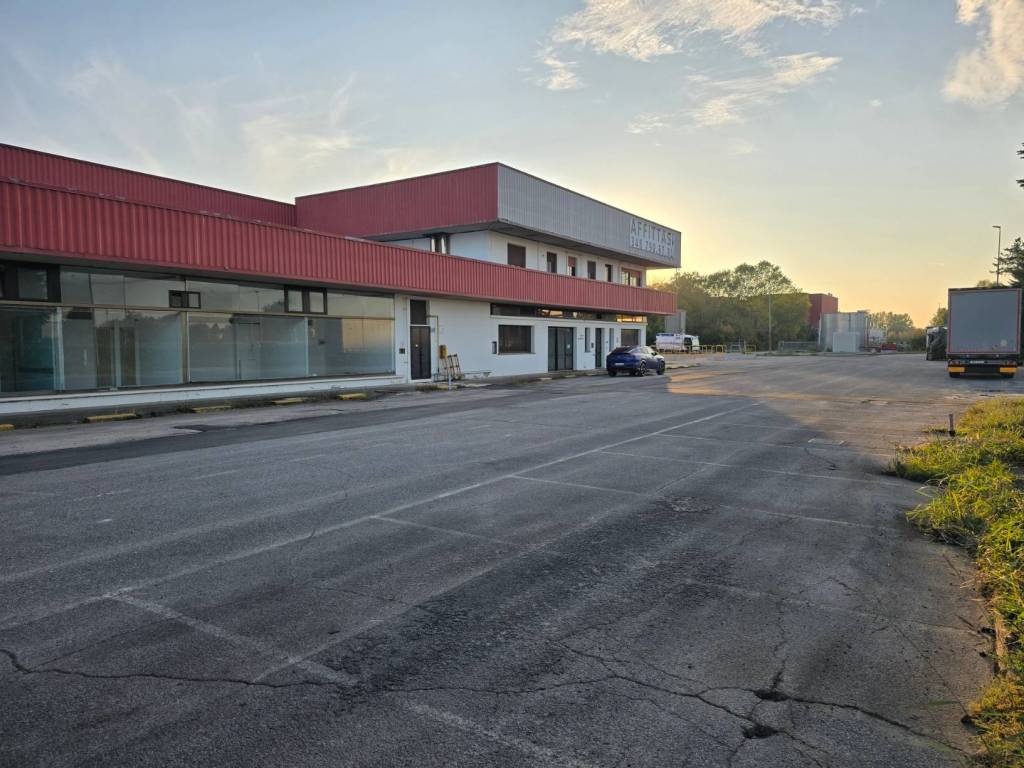 negozio in affitto a Gualtieri