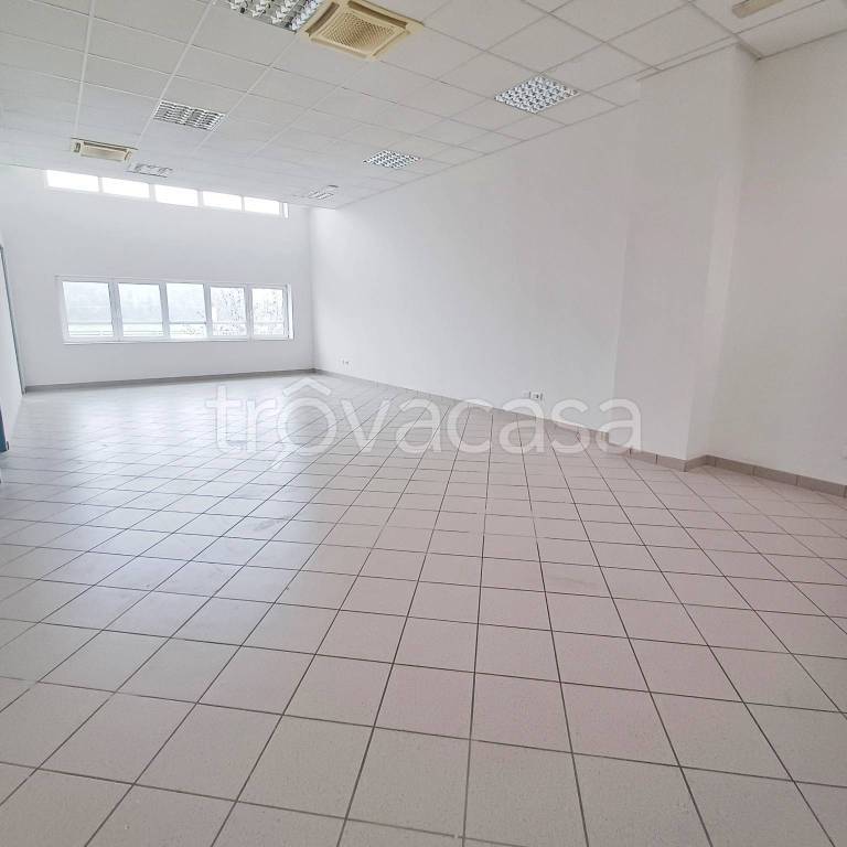 ufficio in affitto a Guastalla