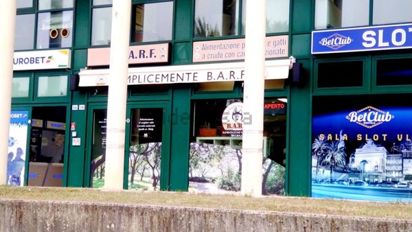 loft in affitto a Guastalla in zona Pieve