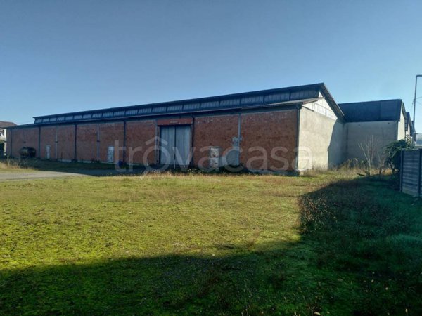locale commerciale in affitto a Luzzara