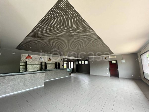negozio in affitto a Luzzara