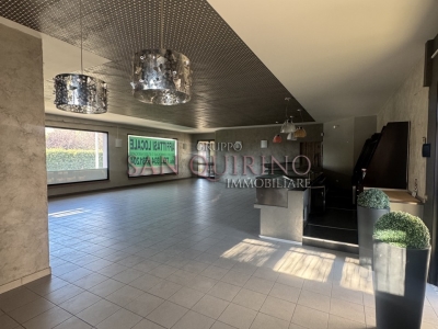 negozio in affitto a Luzzara