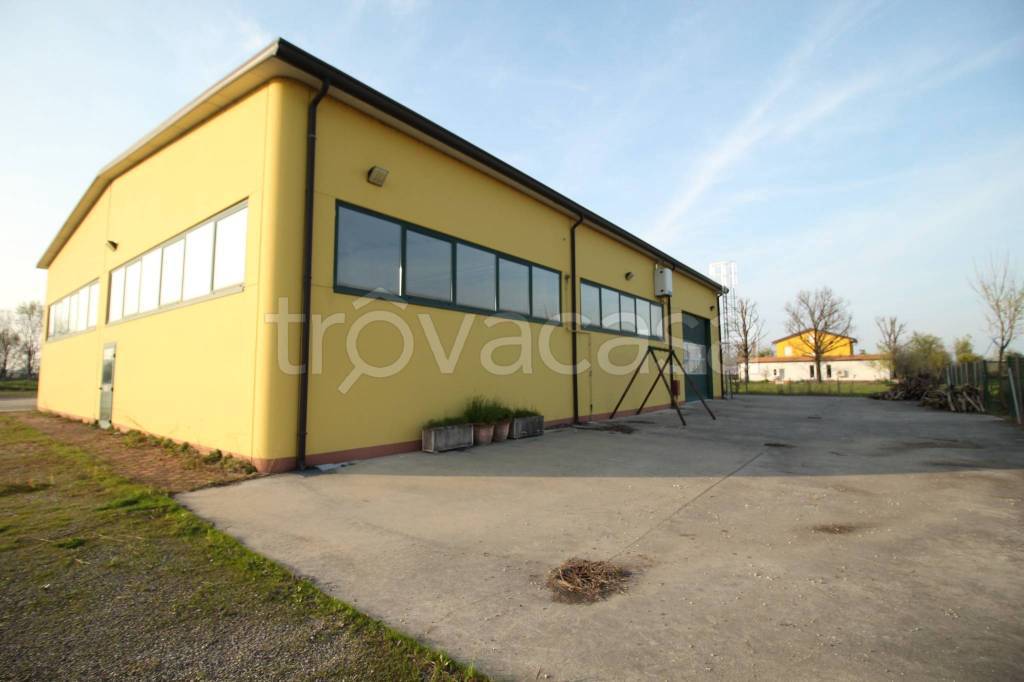 locale commerciale in affitto a Novellara