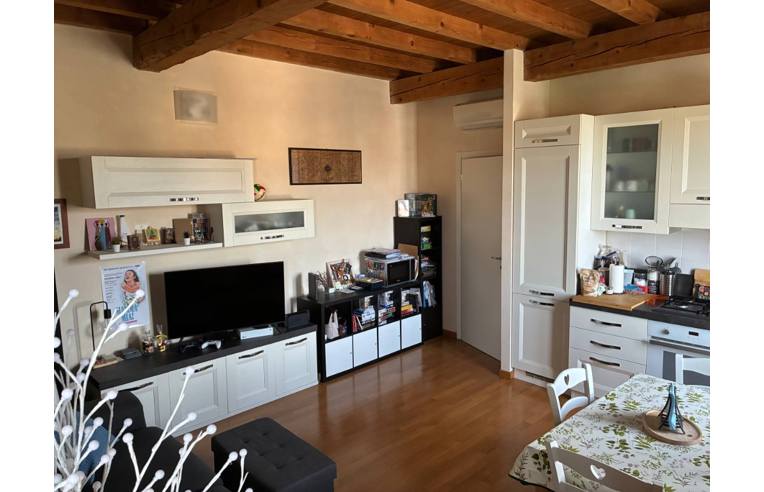 appartamento in affitto a Novellara