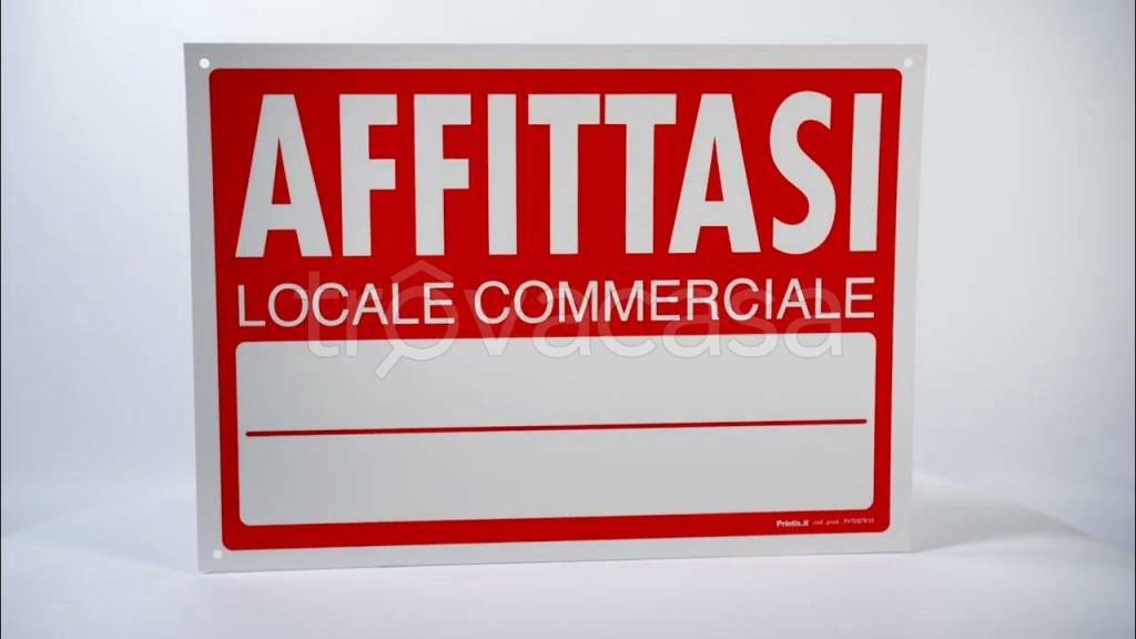 negozio in affitto a Reggiolo