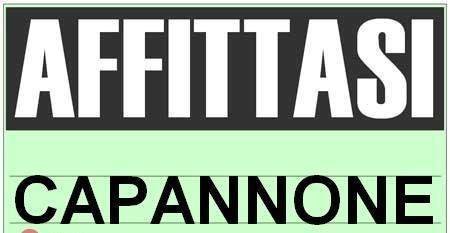 capannone in affitto a Reggio nell'Emilia in zona Codemondo