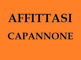 capannone in affitto a Reggio nell'Emilia