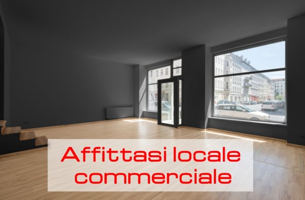 appartamento in affitto a Reggio nell'Emilia in zona Città Storica
