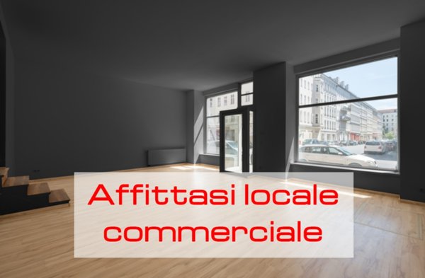 appartamento in affitto a Reggio nell'Emilia in zona Città Storica