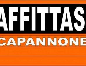 capannone in affitto a Reggio nell'Emilia in zona Mancasale