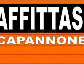 capannone in affitto a Reggio nell'Emilia in zona Mancasale