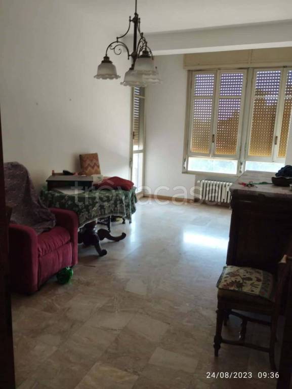appartamento in affitto a Reggio nell'Emilia