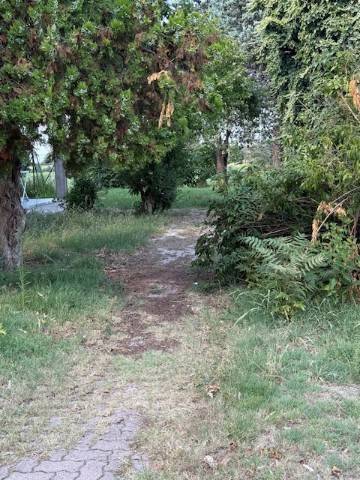 appartamento in affitto a Reggio nell'Emilia