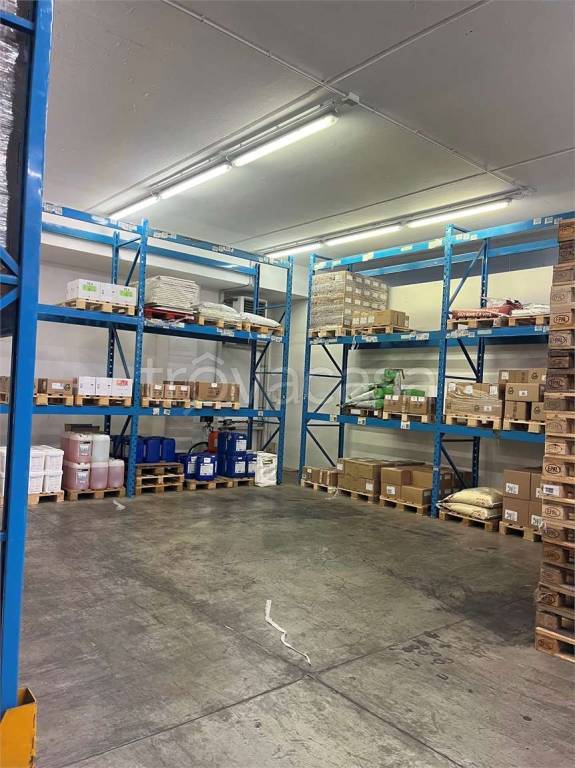 capannone in affitto a Reggio nell'Emilia in zona Buco del Signore