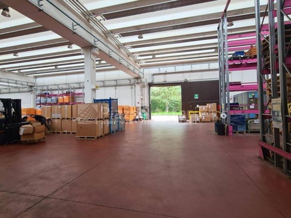 capannone in affitto a Reggio nell'Emilia in zona Buco del Signore