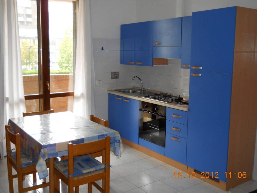 appartamento in affitto a Reggio nell'Emilia in zona Carrozzone