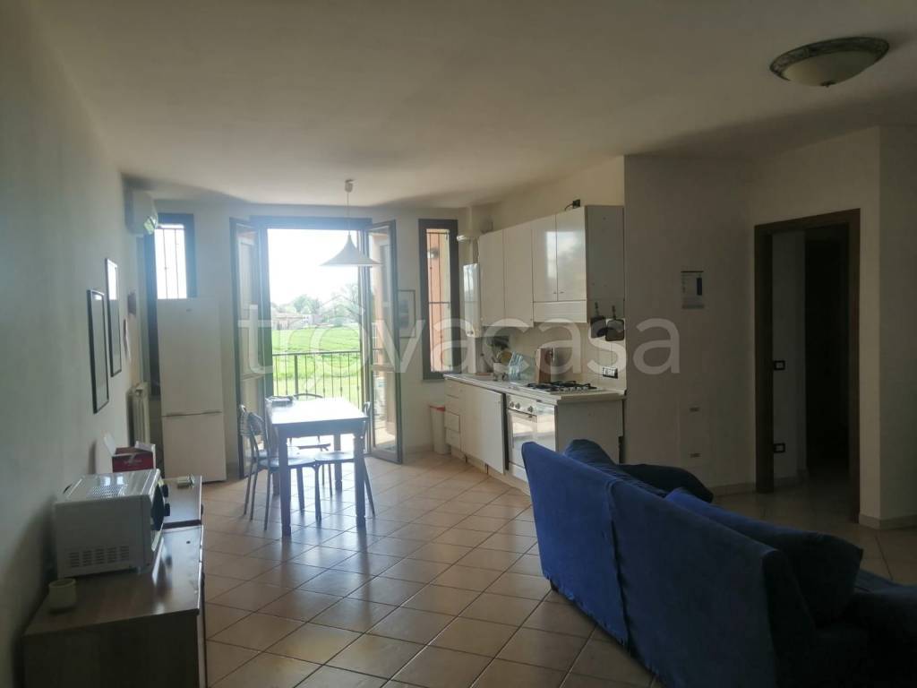 appartamento in affitto a Reggio nell'Emilia in zona Masone