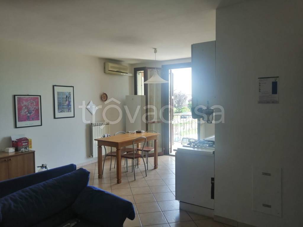 appartamento in affitto a Reggio nell'Emilia in zona Masone