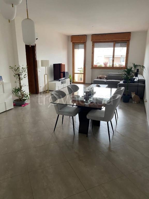 appartamento in affitto a Reggio nell'Emilia in zona Stranieri / Bazzarola