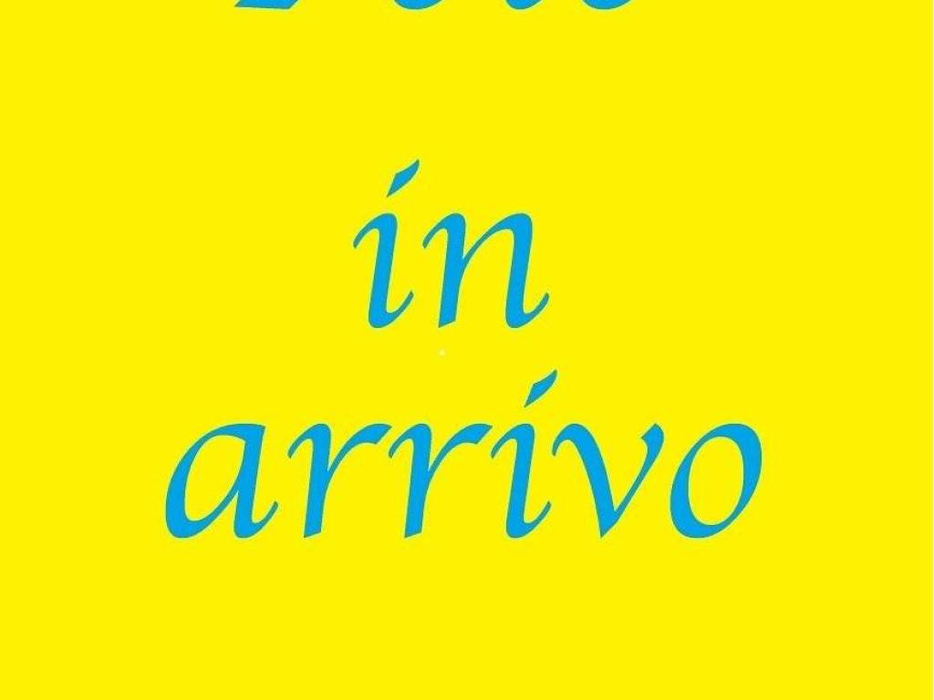 negozio in affitto a Reggio nell'Emilia in zona Tribunale