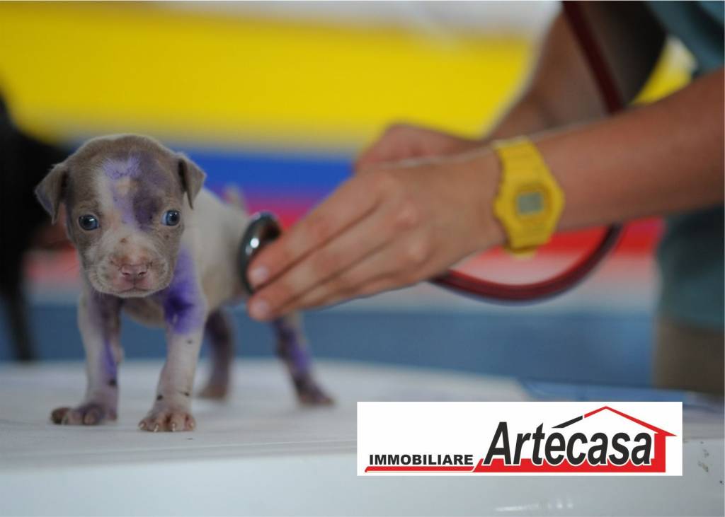 negozio in affitto a Reggio nell'Emilia in zona Baragalla