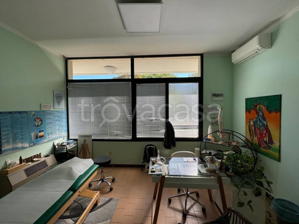 negozio in affitto a Reggio nell'Emilia in zona Premuda