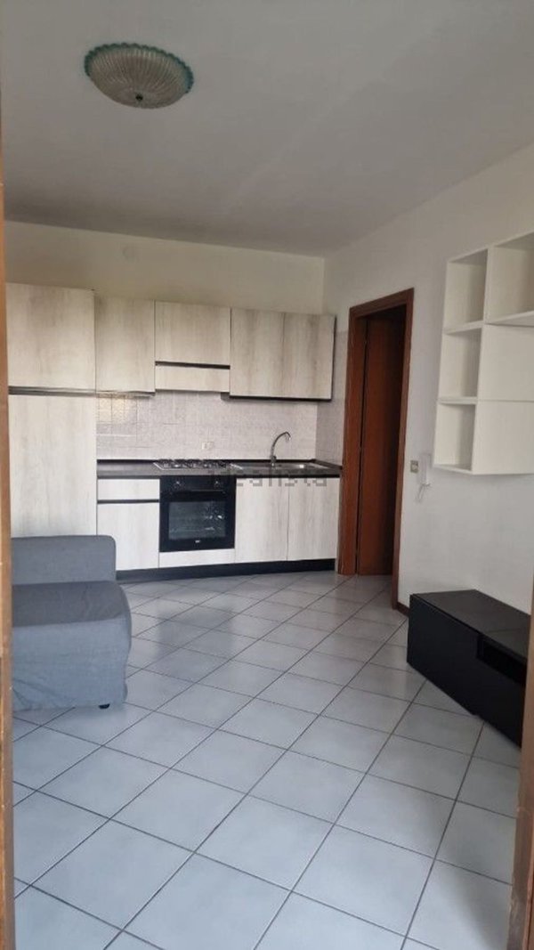 appartamento in affitto a Reggio nell'Emilia in zona Sesso