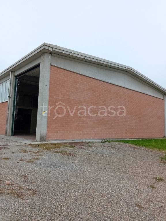 locale commerciale in affitto a Reggio nell'Emilia in zona Cadè / Gaida