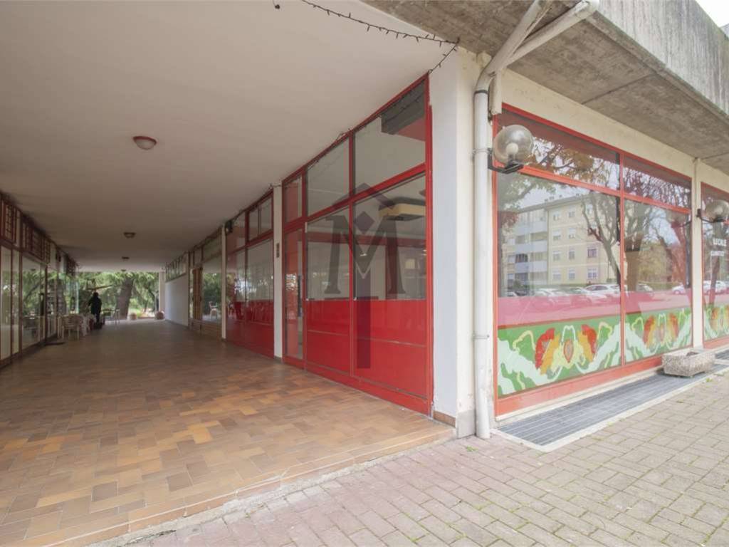 negozio in affitto a Reggio nell'Emilia in zona Rivalta