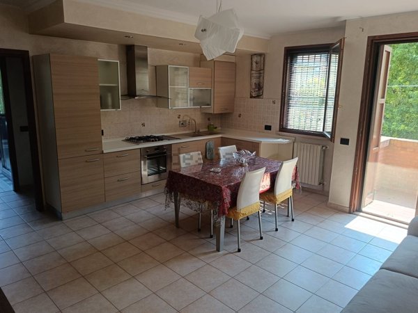 appartamento in affitto a Reggio nell'Emilia in zona Sesso