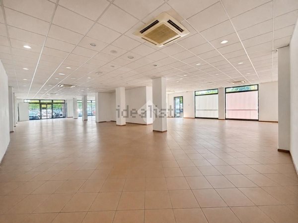 loft in affitto a Reggio nell'Emilia in zona Carrozzone