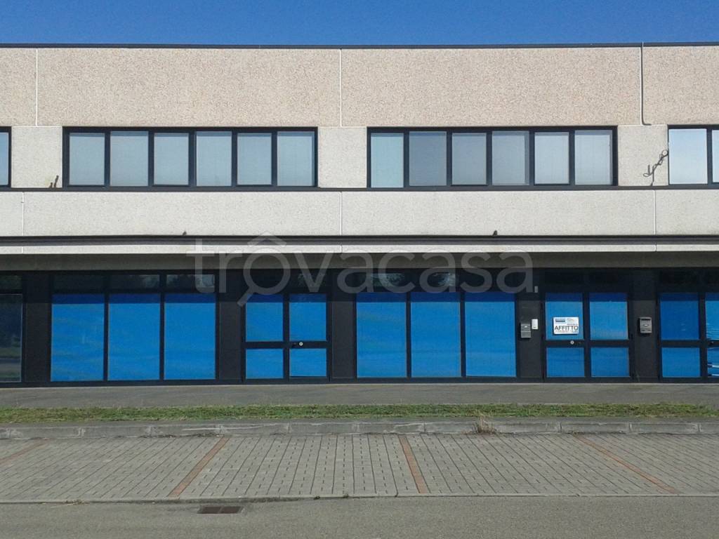 capannone in affitto a Scandiano in zona Arceto
